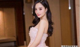 千万粉丝艺人爆料事件视频